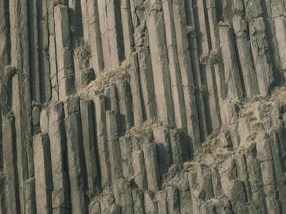 Paredón de basalto columnar: roca volcánica partida en prismas verticales, con matas de pasto seco en las grietas.